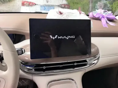 Wuling 缤果Pro