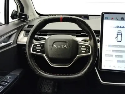 NETA Neta V