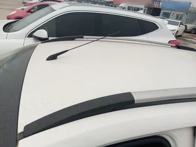 Baojun 310