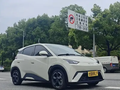 BYD Seagull