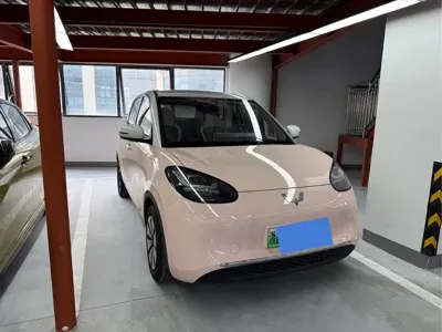 Wuling Bingo