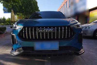 Haval LHERY