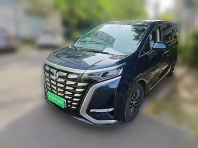 Denza D9