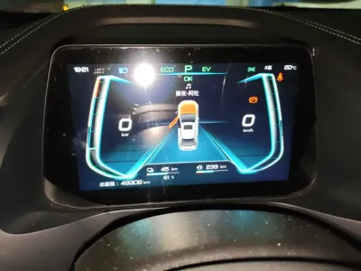 BYD Qin Pro New Energy