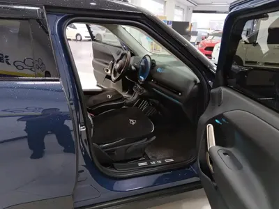 MINI MINI ACEMAN EV