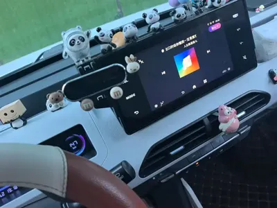 Galaxy Panda