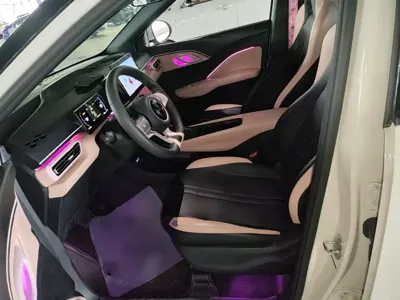 BYD Seagull