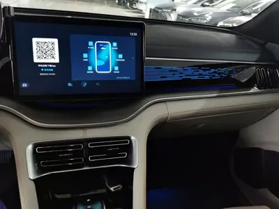 BYD PLUS New Energy