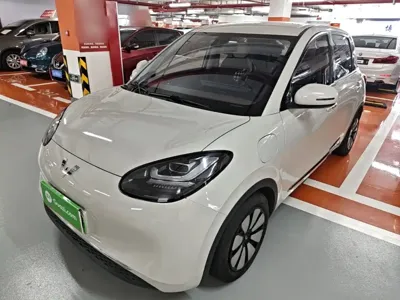 Wuling Bingo