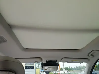 NETA Neta L