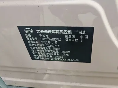 BYD Seagull