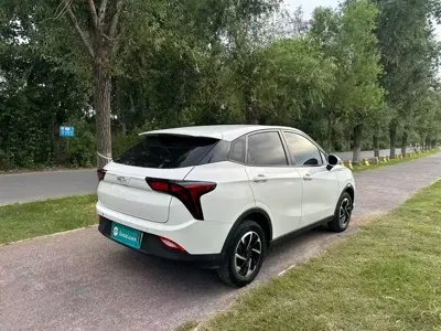 NETA Neta V