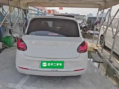 Wuling Bingo