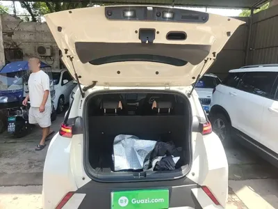 BYD Seagull