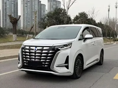 Denza Denza D9