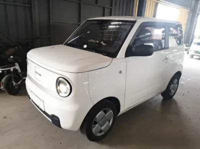 Geely Galaxy Panda