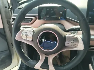 BYD Seagull