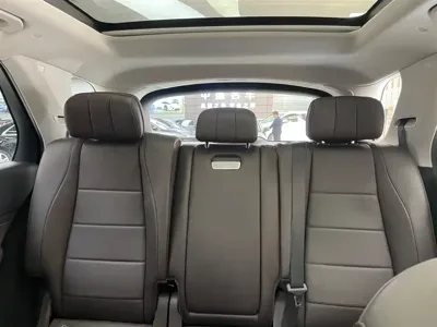 Mercedes-Benz 奔驰GLE(进口)
