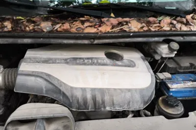 SAIC MAXUS G10
