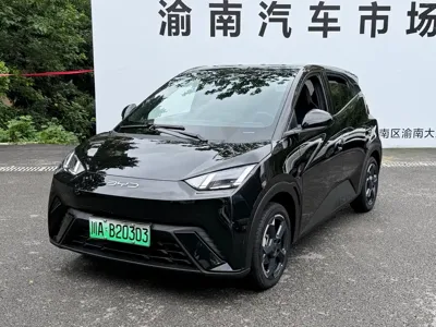 BYD Seagull