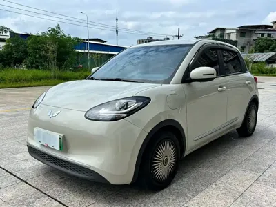 Wuling Bingo