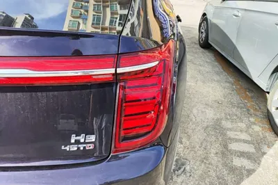 Hongqi H9