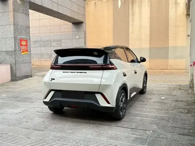 BYD Seagull