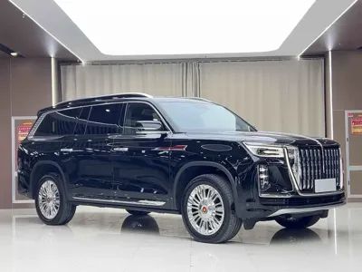 Hongqi 红旗金葵花国耀
