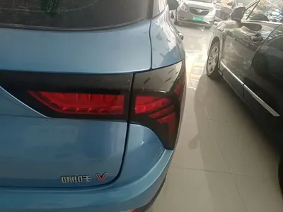 NETA Neta V