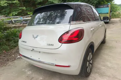 Wuling Bingo