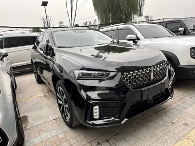 WEY Wey VV7