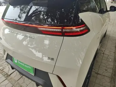BYD Seagull
