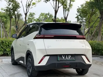 BYD Seagull