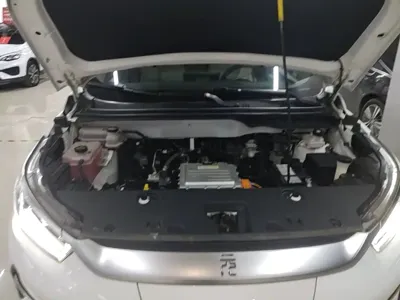 BYD Yuan Pro