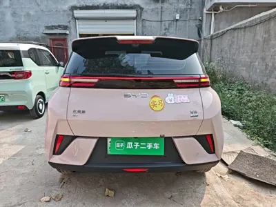 BYD Seagull