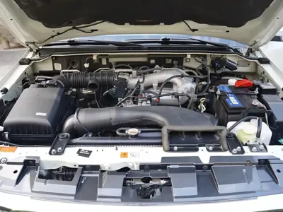 Mitsubishi Pajero (Import)