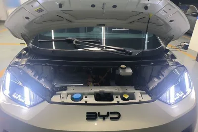 BYD Seagull