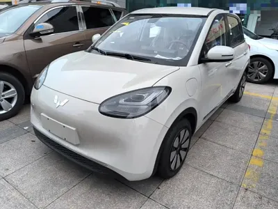 Wuling Bingo