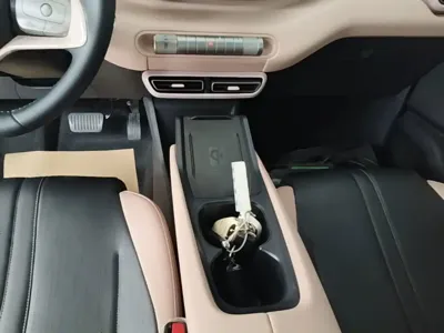 BYD Seagull