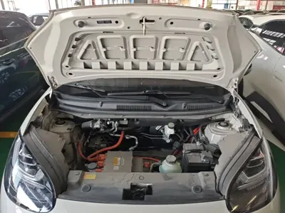 Wuling Bingo