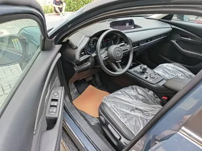 Mazda CX-30 EV