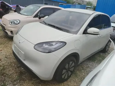 Wuling Bingo
