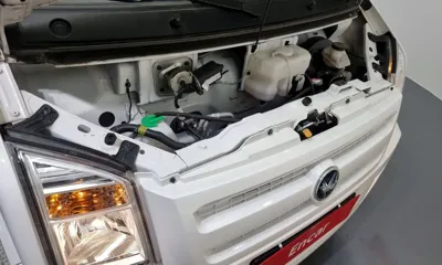 DFSK C35
