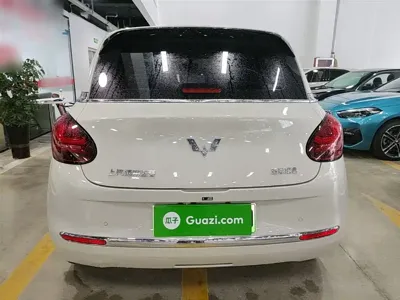 Wuling Bingo