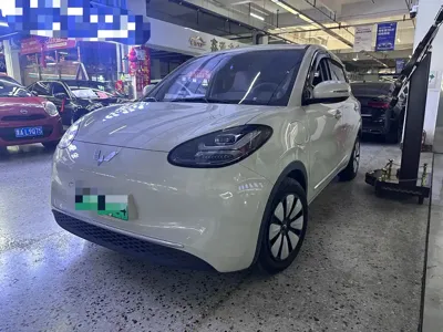 Wuling Bingo