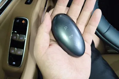 Rising R7