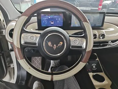 Wuling Bingo