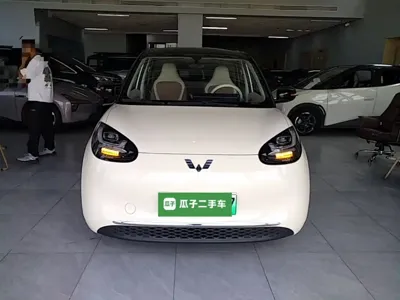 Wuling Bingo
