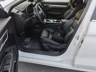 Geely Auto Binray