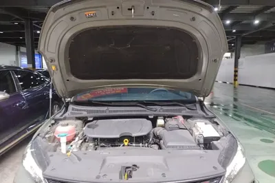 Geely Auto Binray